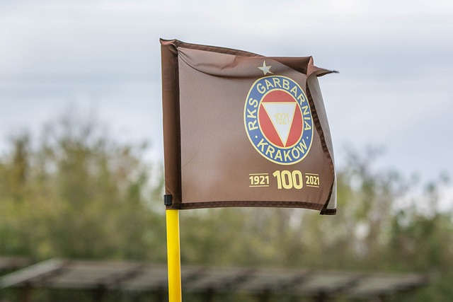 失去核心王 失去核心王