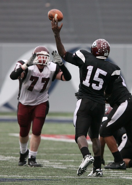 续效力于他 续效力于他