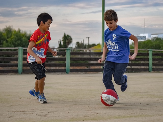 团队型球员 团队型球员