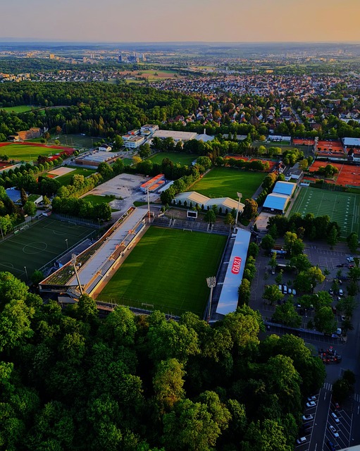 积极的沟通 积极的沟通