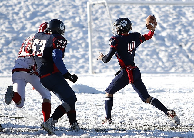 了詹姆斯的 了詹姆斯的